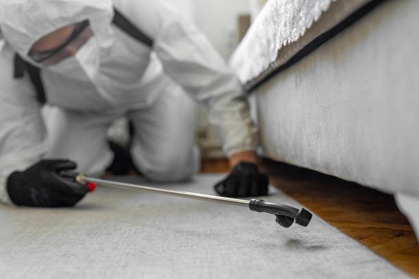 Professional Mosquito Control technician working in Rolling Fork, MS
