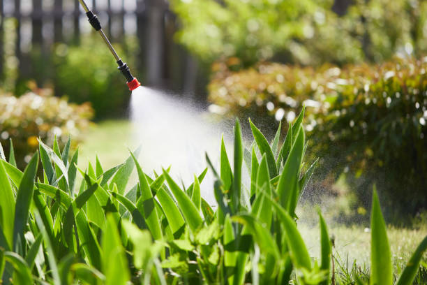 24/7 Emergency Mosquito Control experts in Rolling Fork, MS