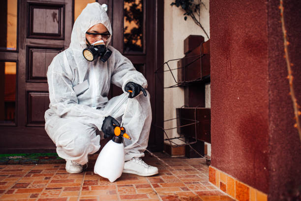 Reliable Mosquito Control contractor in Rolling Fork, MS by Nex Pest Control